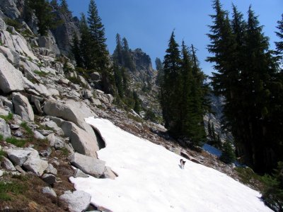 First view of Forbidden Pass from hanging forest