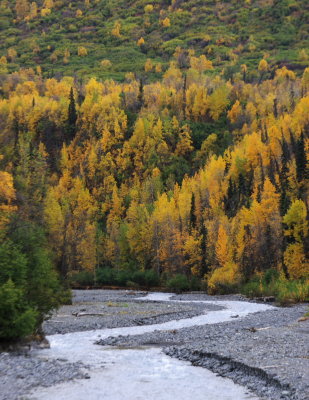 Glacial Runoff in Fall
