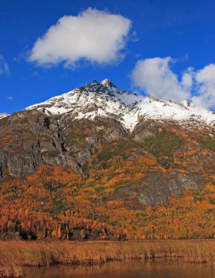 Pinnacle