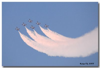 NDP Preview 064 copy.jpg