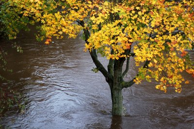 22nd October 2009  raining