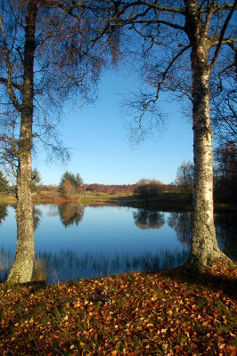 7th November 2009  first winter's day