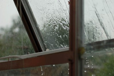 wet.jpg