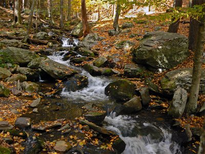 e-Bushkill--Stream-2--FZ7-p.jpg