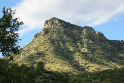 g5/83/756683/3/103565197.A1QYJE9A.jpg