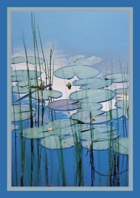 Blue dreams