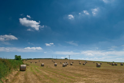 A Summer's Day 3 - More Bales