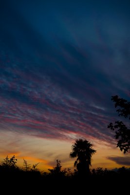 Cheltenham Sunset