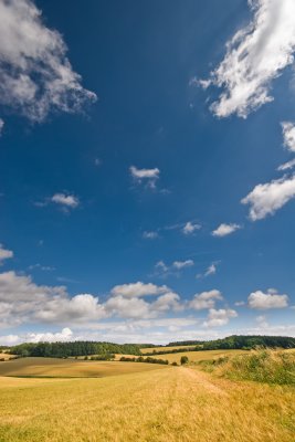 Fine Summer's Afternoon 2