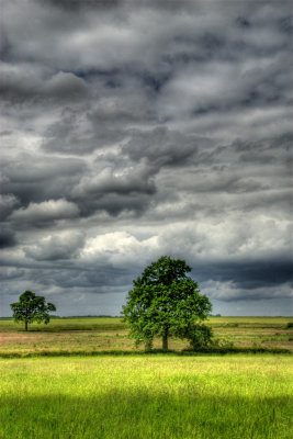 Warwickshire Summer