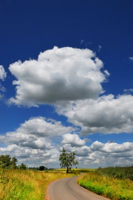 Big Clouds, Lone Tree