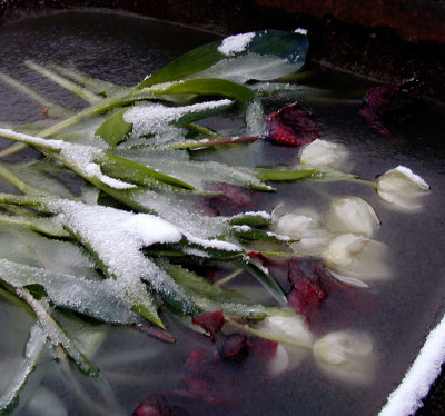 Old bouquet