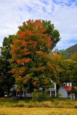 The Setting:  Keene Valley in the Fall