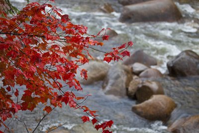 Red Leaf River