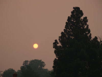 ca wildfire sun 027.jpg