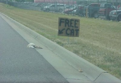 Here's Your Free Cat.jpg