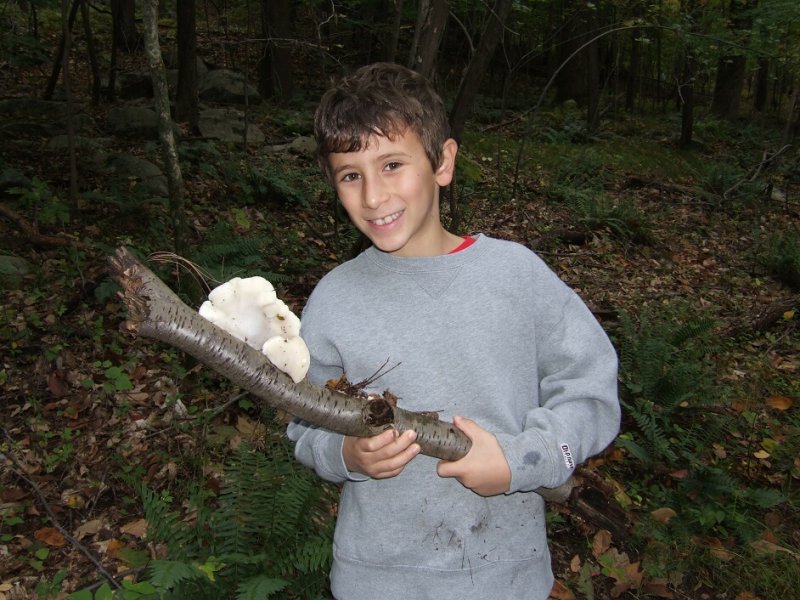 Eli with a Cheese Polypore,  Tyromyces chioneus.10010088.JPG