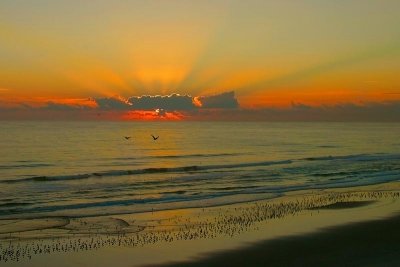 Daytona Beach Sunrise