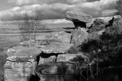 Brimham Rocks