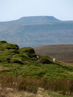 Ingleborough from Foxup Dale