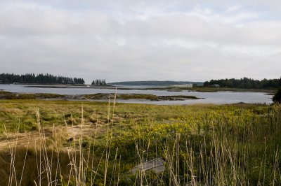 raodside.jpg