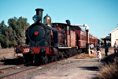 3026 at Cowra.jpg