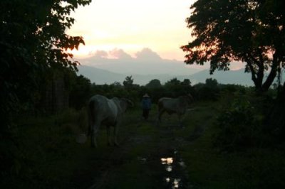 Countryside twilight near Chiang Mai