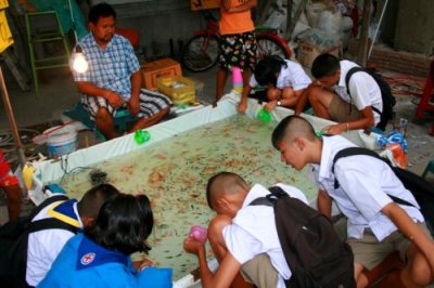 Children finding pet fish, Bangkok