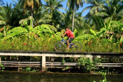 Man on Bike, Damnoen Saduak