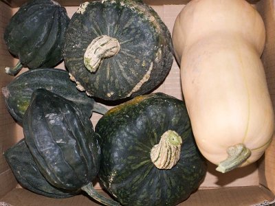 Box of squash from a fruit stand