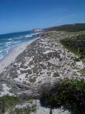 KangarooIsland_SealBayBoardwalk9043.JPG