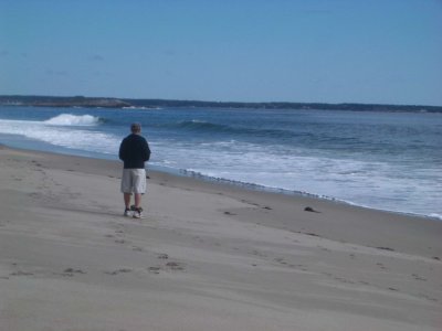 SanderlingsReidStateParkGeorgetownMaine2006 027.JPG