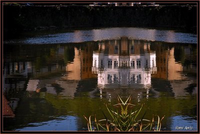 DSC_4319