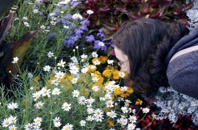 09.22.06::Death Blossoms
