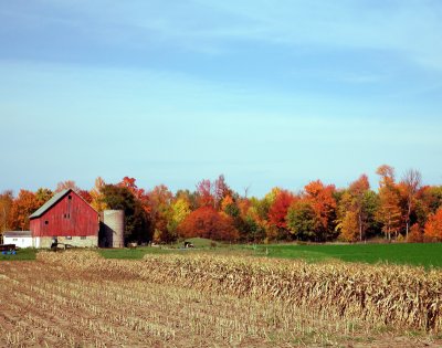 fall_landscapes