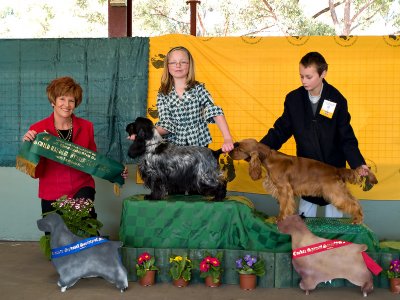 Junior Handlers