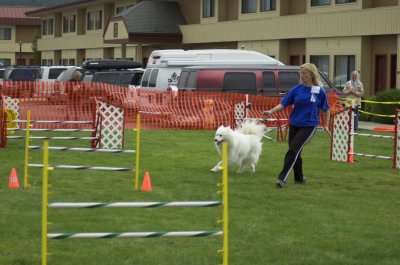 Agility Photo 2