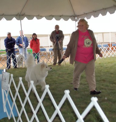 Rescue Parade - Photo 6