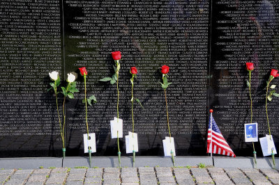 Vietnam Veterans Memorial (3)