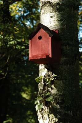 Bird's nest in Tantolunden