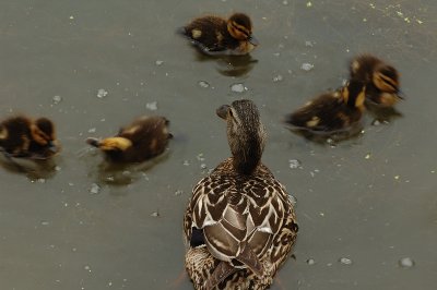 DSC_2541.jpg