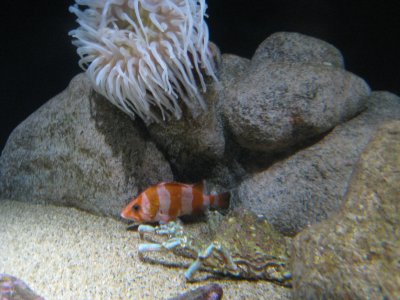 IMG_3660.JPG