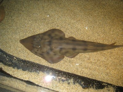 IMG_3673.JPG