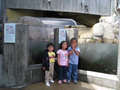 IMG_3728.JPG