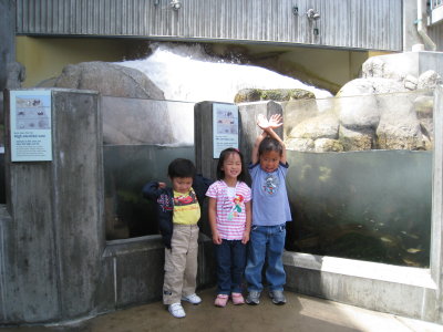 IMG_3729.JPG