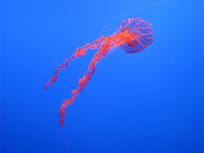 IMG_3763.JPG
