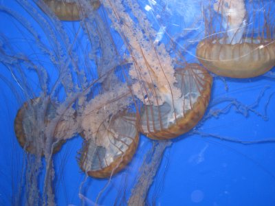 IMG_3771.JPG