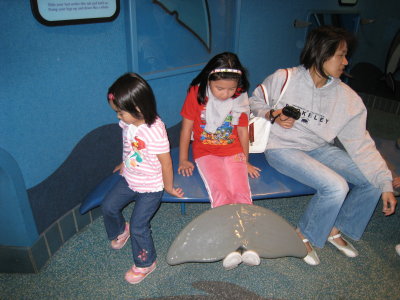 IMG_3799.JPG