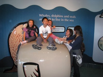 IMG_3806.JPG