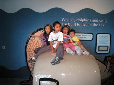 IMG_3808.JPG